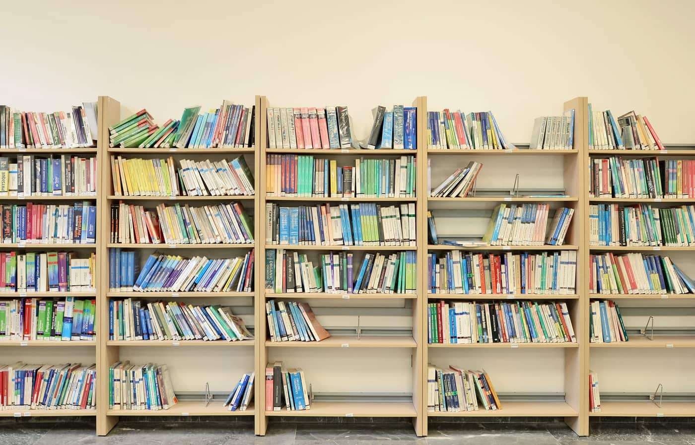 A full home bookshelf photographed in warm daylight